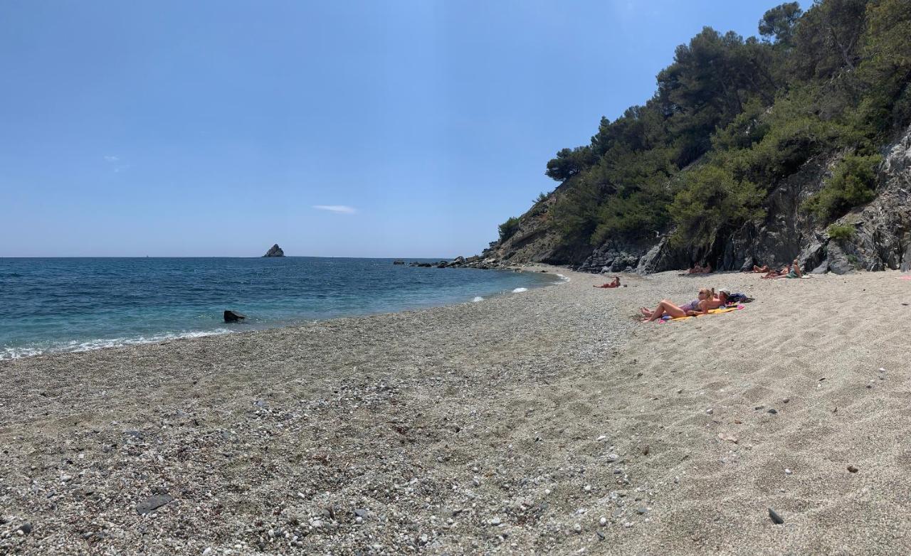 Villa Jacqueline La Seyne-sur-Mer Exteriér fotografie